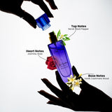 🕊️ Peter J  High Flier 100ml & Pure Temptation 50ml Combo Set