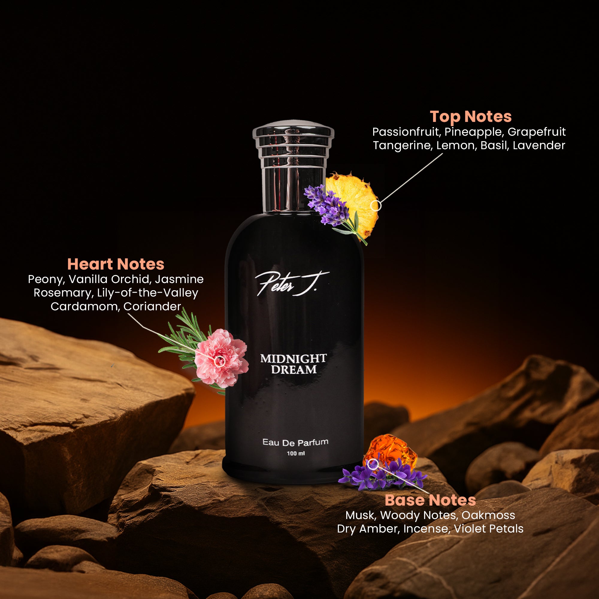 Midnight Dream | Eau De Parfum – 100 ML